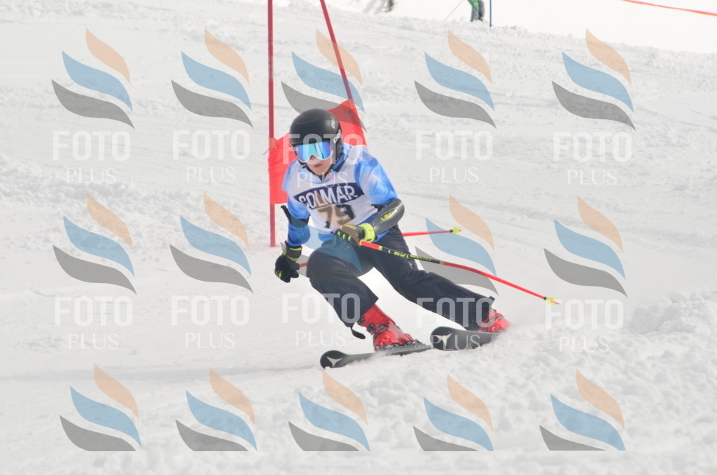 A5660 | holidayphoto