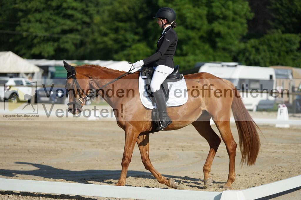 DSC04178 | equestrian-live-com