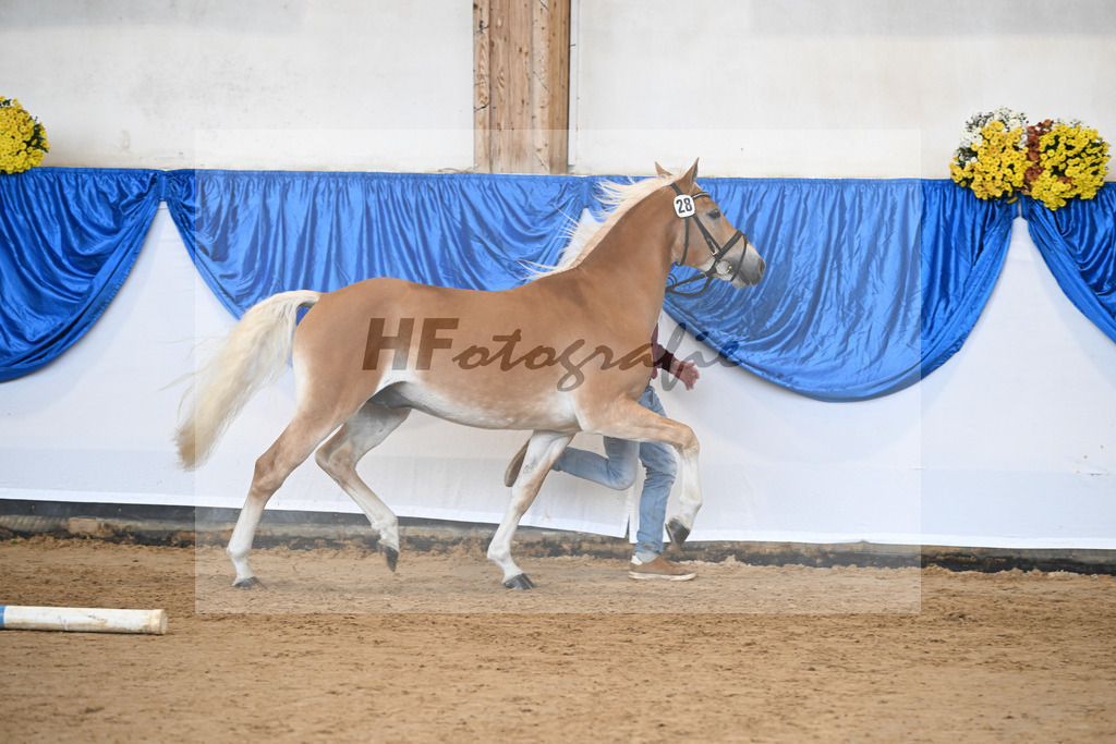 Kat-Nr. 28 nn v. Nio_Kirchberger_48251085 | hf-fotografie - Realisiert mit Pictrs.com