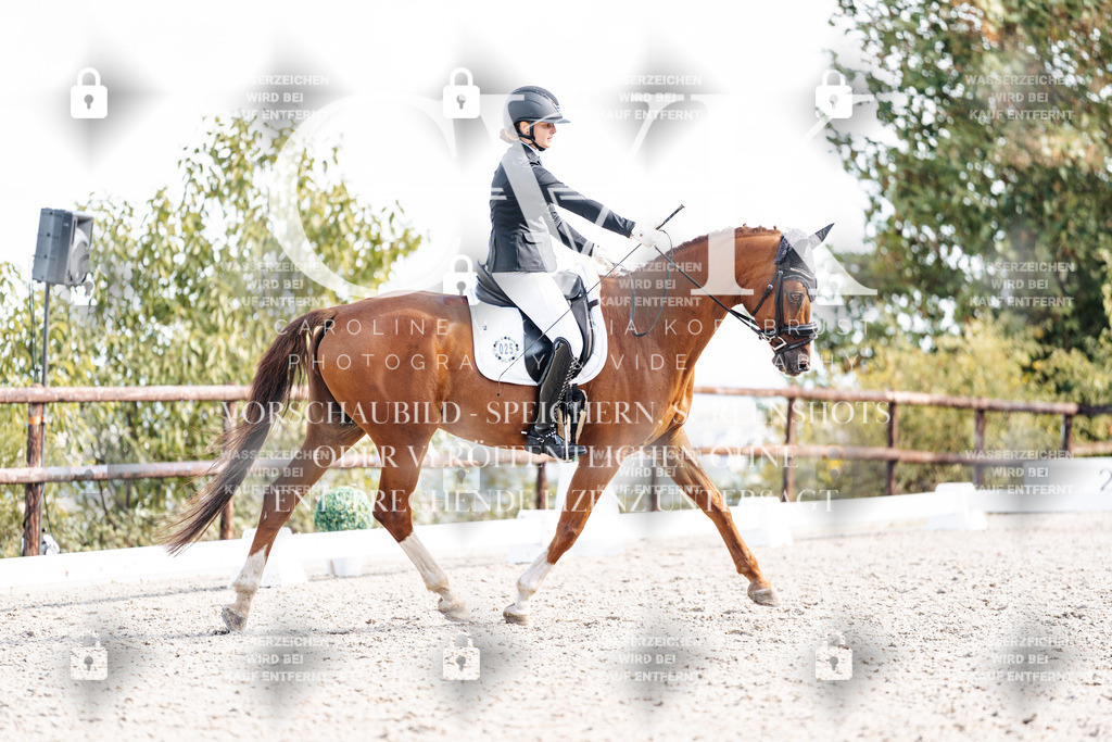 CK902186 | Turnierfotografie Pferdefotografie Trier Rheinland-Pfalz Pferdesport Reitsport Tierfotografie Sportfotografie Pferdevideo Pferdevideografie Equestrianvideography equestrianphotography  - Realisiert mit Pictrs.com