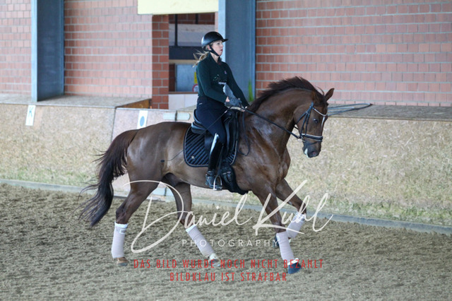 DKP42690 | Turniersportfotografie; Pferdefotografie; Dressurfotografie