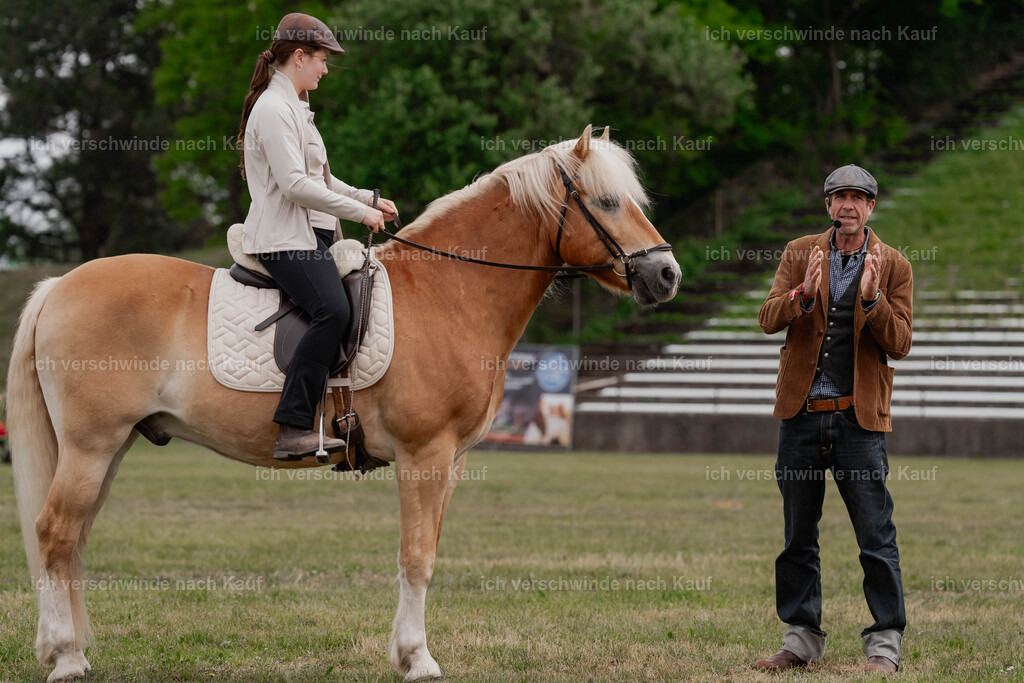 Showprogramm-50 | working equitationturnier fotograf videograf stoibphotography marixx film working equitation deutschland reitsport turnierfotografie eventfotografie equestrian events