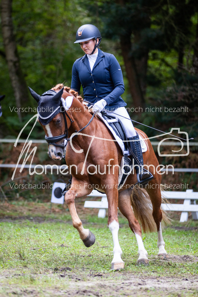 HB-A-Dressur-186 | MomenTaufnahmen Pferdesportfotos