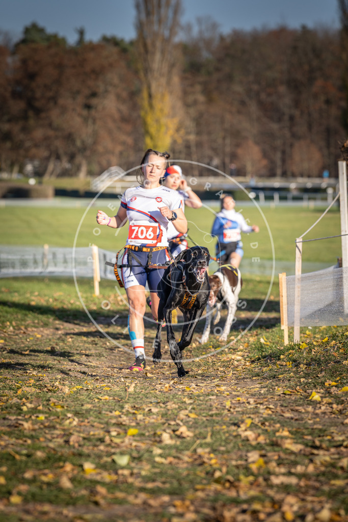CaniXpix_DV3A1512 | Hundefotografie, Tierfotograf, Pfotenfotografie, Fotoshooting Hund, Hunde Portrait, Hundesport, Hundeportraits, Heideshooting, Hunde, Sportfotograf, Hundefotograf, Turnierhundsport, THS,  - Realisiert mit Pictrs.com