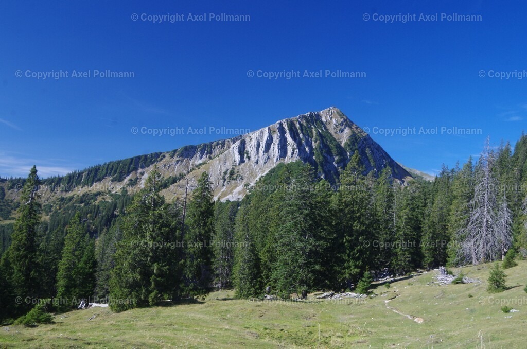 109-IMGP5732 | fotografiert von Axel PollmannLeonhardi Wallfahrt Benediktbeuern und Murnau, Fronleichnam, Fasching, Landschaft im Loisachtal und Benediktbeuern  - Realisiert mit Pictrs.com