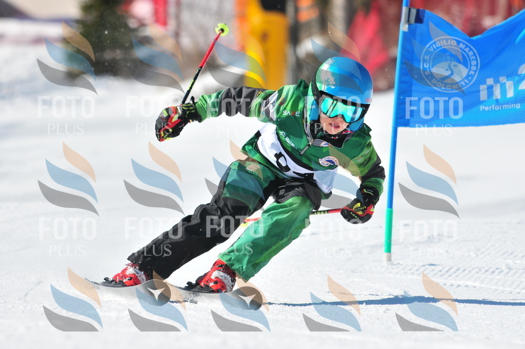 C3129 | holidayphoto