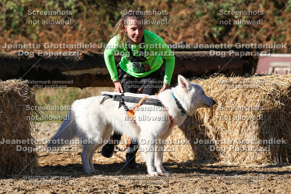 Dog Paparazzi - Strongdog 10-25-2072 | Dog Paparazzi Jeanette Grottendiek Fotografie & Videografie - Realisiert mit Pictrs.com