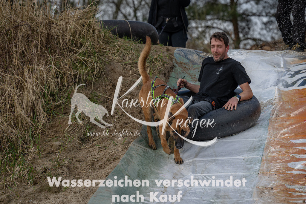0950_ZZ92322 | kk-dogfotos