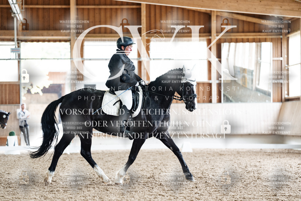 CK901209 | Turnierfotografie Pferdefotografie Trier Rheinland-Pfalz Pferdesport Reitsport Tierfotografie Sportfotografie Pferdevideo Pferdevideografie Equestrianvideography equestrianphotography  - Realisiert mit Pictrs.com