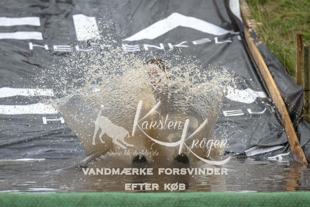 1615_ZZ92956 | kk-dogfotos