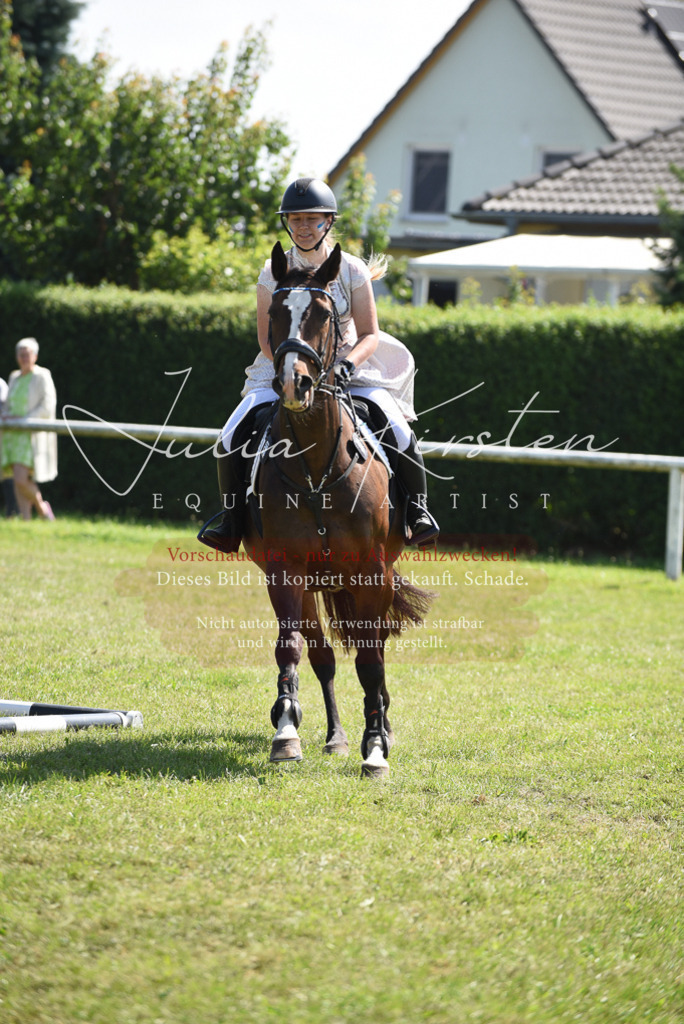 DSC_0368 | Pferde- und Turnierfotografie in Westsachsen. Pferdeportraits, Auftragszeichnungen und intuitive Kunst.