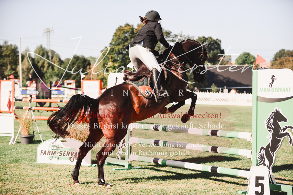 DSC_2276 | Pferde- und Turnierfotografie in Westsachsen. Pferdeportraits, Auftragszeichnungen und intuitive Kunst.