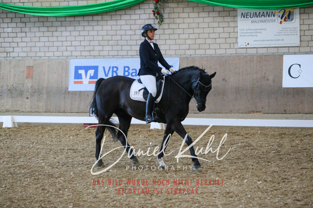 IMG_2650 | Turnierfotos kaufen im Webshop von Daniel Kuhl Photography – entdecke professionelle Reitsportfotos aus Turnieren & Events. Hochwertige Turnierbilder online bestellen & sichern. Jetzt Fotos von Reitsportturnieren kaufen!