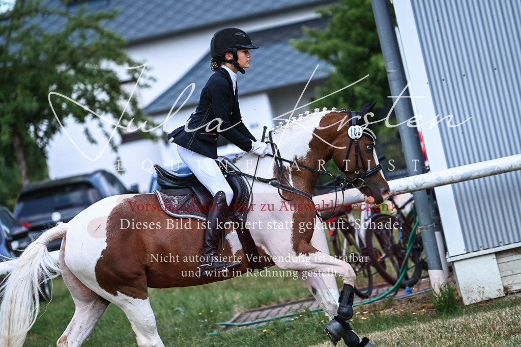DSC_8561 | Pferde- und Turnierfotografie in Westsachsen. Pferdeportraits, Auftragszeichnungen und intuitive Kunst.