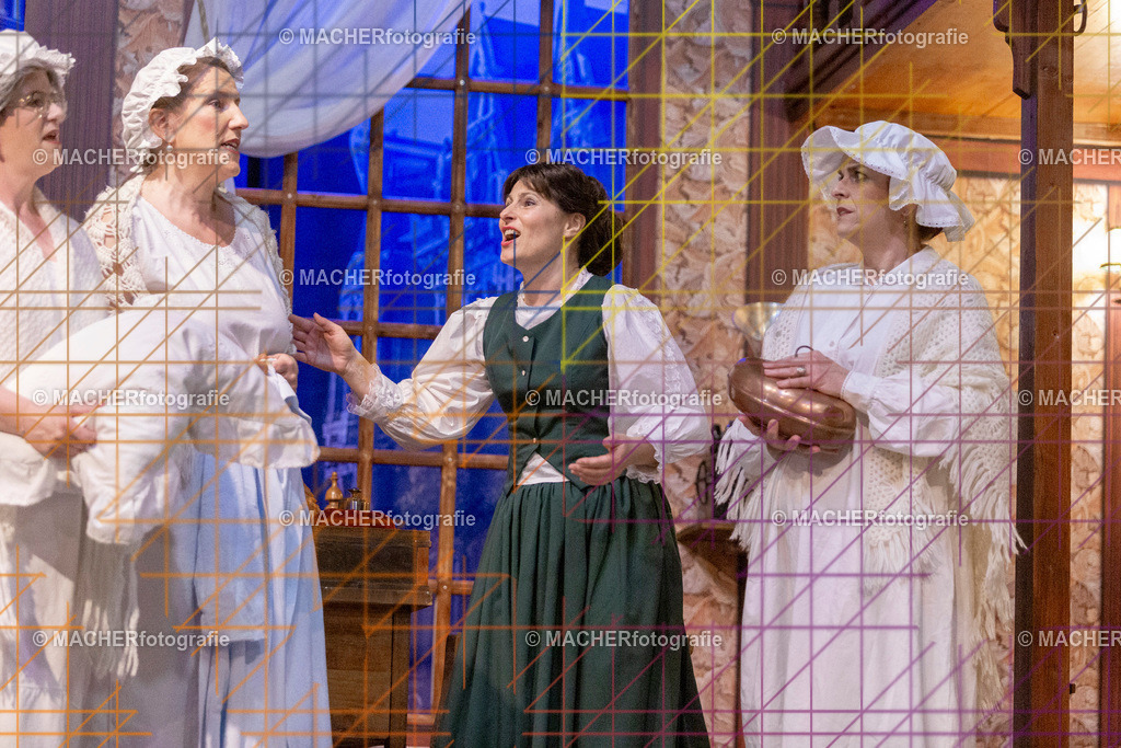 234_MFL-2025 | Portraitbilder von Regisseur; Darsteller; Techniker; Maske; Kostüme; Chor; Musiker; Bilderserie der Generalprobe und der Premierenvorstellung, Szenenbilder; Ausdrucksstudien; Bühnenüberblick; Bühnenkulissen; Pressefotos inkl. Redaktionsfoto Darstellergruppe.