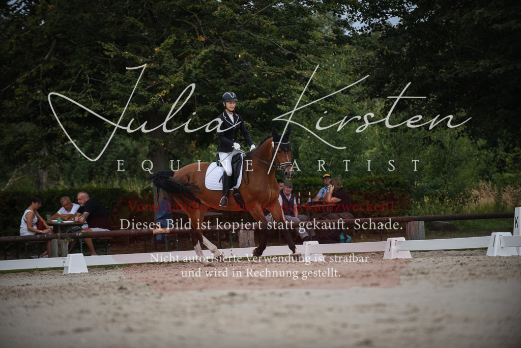 DSC_8265 | Pferde- und Turnierfotografie in Westsachsen. Pferdeportraits, Auftragszeichnungen und intuitive Kunst.