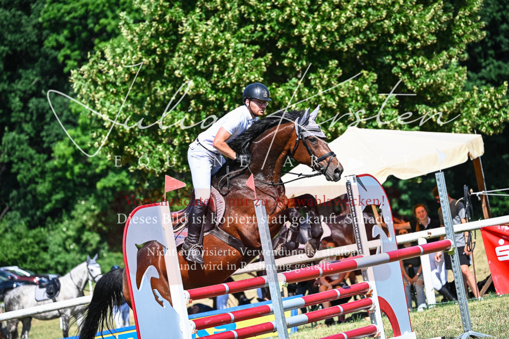 DSC_1670 | Pferde- und Turnierfotografie in Westsachsen. Pferdeportraits, Auftragszeichnungen und intuitive Kunst.