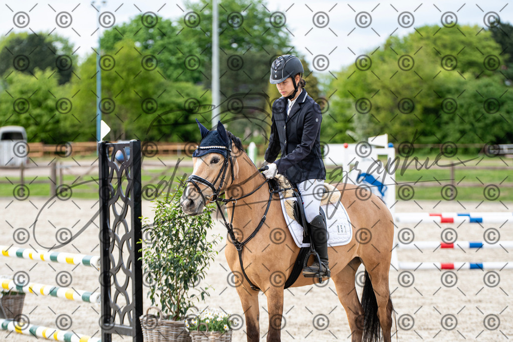 KPT_6907 | andre_photographic