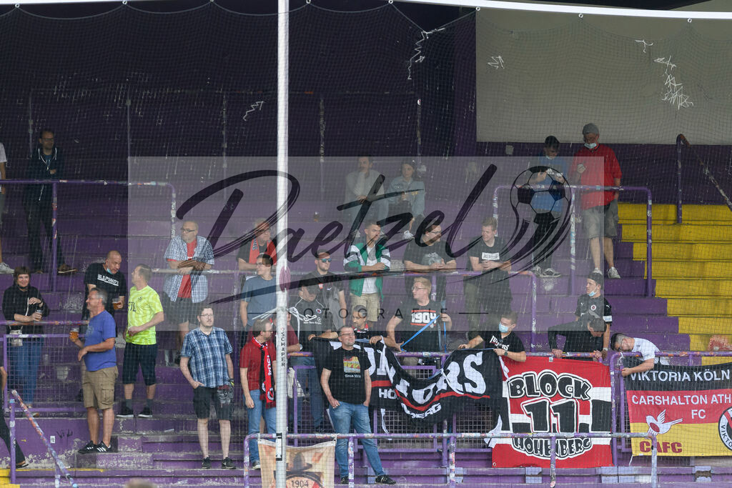 OSNVKO2021090620210906_177 | Fussball, Herren: . Fans vom FC Viktoria Koeln beim Spiel der 3. Liga zwischen VfL Osnabrueck und FC Viktoria Koeln im Stadion an der Bremer Bruecke am 06.09.2021 in Osnabrueck, Deutschland.DFB / DFL REGULATIONS PROHIBIT ANY USE OF PHOTOGRAPHS AS IMAGE SEQUENCES AND/OR QUASI-VIDEO. - Realisiert mit Pictrs.com