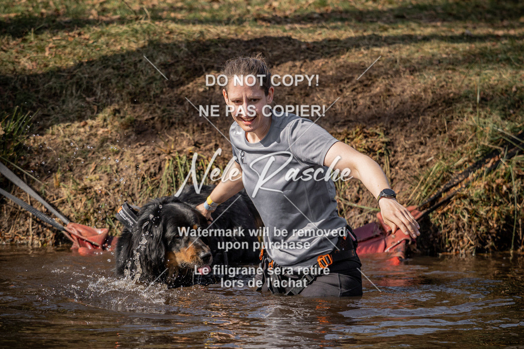 nelerasche_FS1330-1400_126 | nelerasche