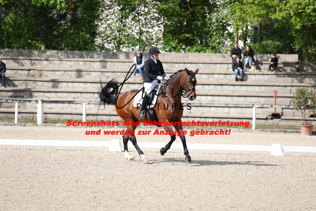 A40A3910 | lmwpictures - Realisiert mit Pictrs.com