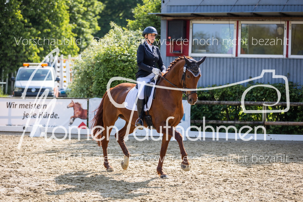 Donop24-A2-Dre-042 | MomenTaufnahmen Pferdesportfotos