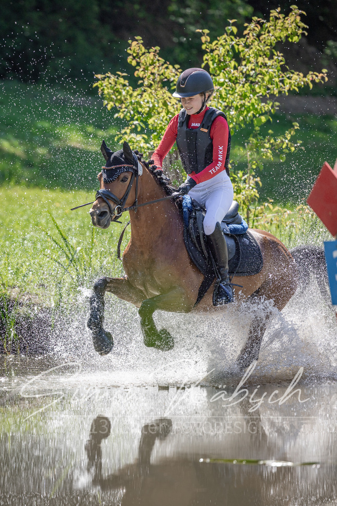 20260523-_3LI7548 | Tierfotografie Pferde, Hunde, Katzen, Haustiere.
Turnierfotografie Reitturniere, Reiten, Springreiten, Dressur in Hanau, dem Main-Kinzig-Kreis und dem Rhein-Main- Gebiet um Frankfurt