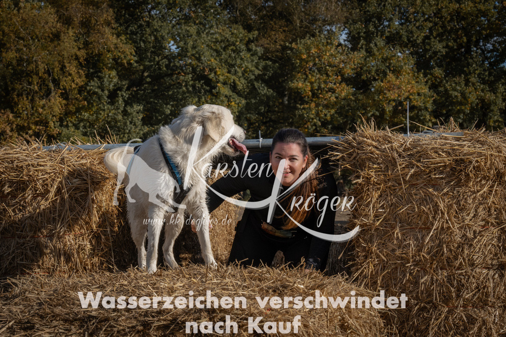 1103_ZZ99916 | kk-dogfotos