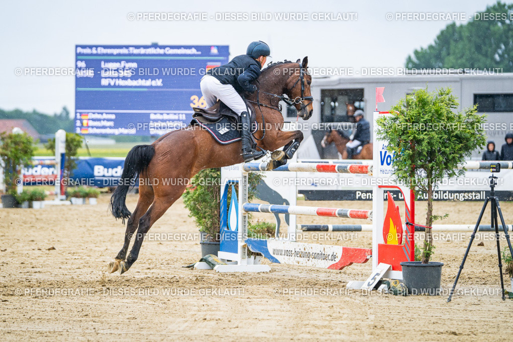 DSC09672 | Pferdegrafie