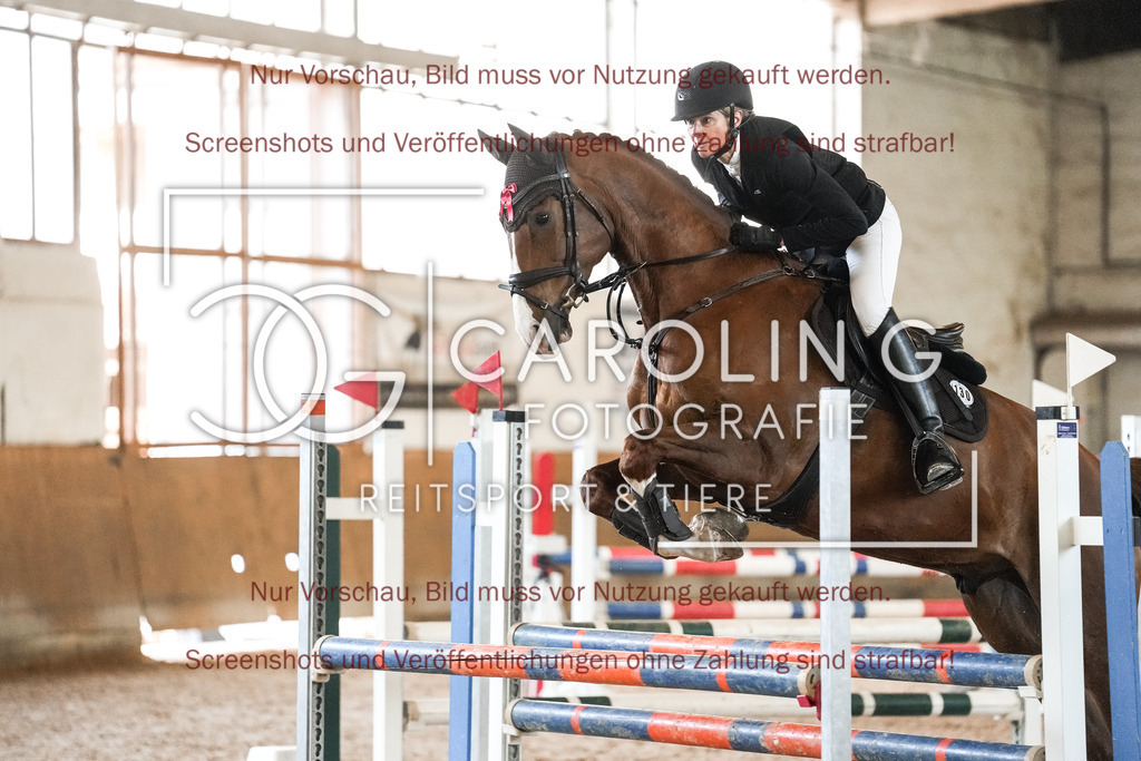 DSC09878 | Reitturnier_Göppingen_April_2026, Merrit_Reiniger, Central_Fox