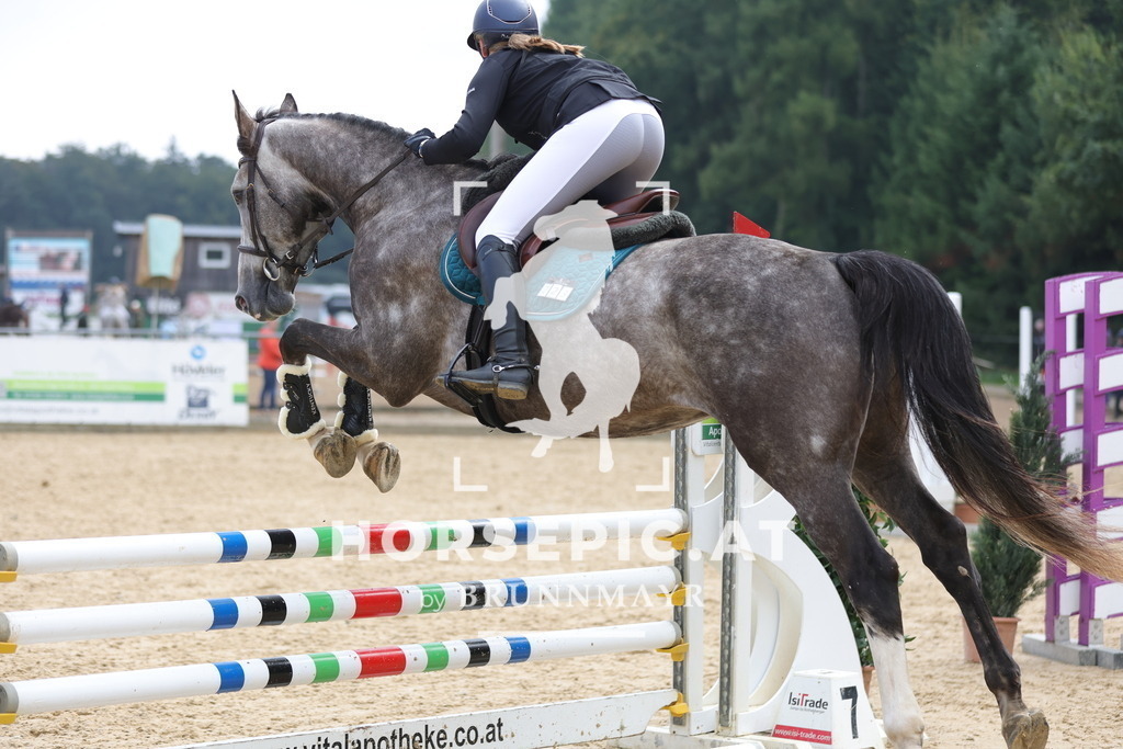 0P6A1591 | Willkommen bei Brunnmayr - Design & Fotografie – Ihrem Spezialisten für Reitturniere und Pferdeveranstaltungen in Oberösterreich, Salzburg und Bayern! Seit über 17 Jahren sind wir leidenschaftlich dabei.