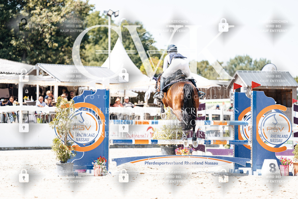 CK909907 | Turnierfotografie Pferdefotografie Trier Rheinland-Pfalz Pferdesport Reitsport Tierfotografie Sportfotografie Pferdevideo Pferdevideografie Equestrianvideography equestrianphotography  - Realisiert mit Pictrs.com