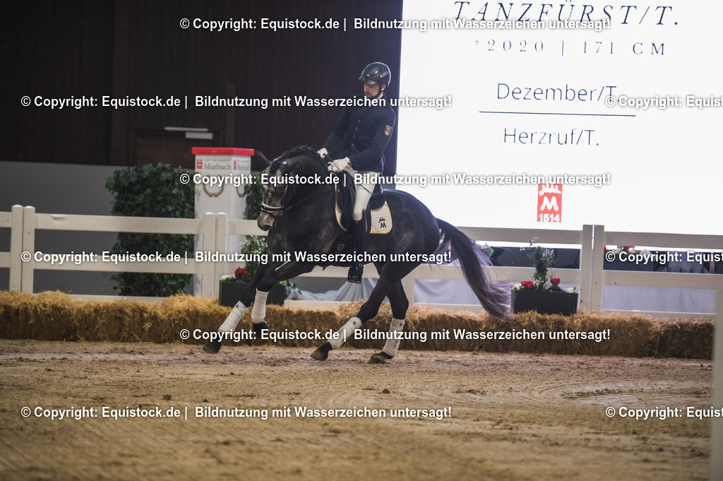 20240302_Hengstvorstellung_Marbach_TOMsPiC_0173-2 | equistock