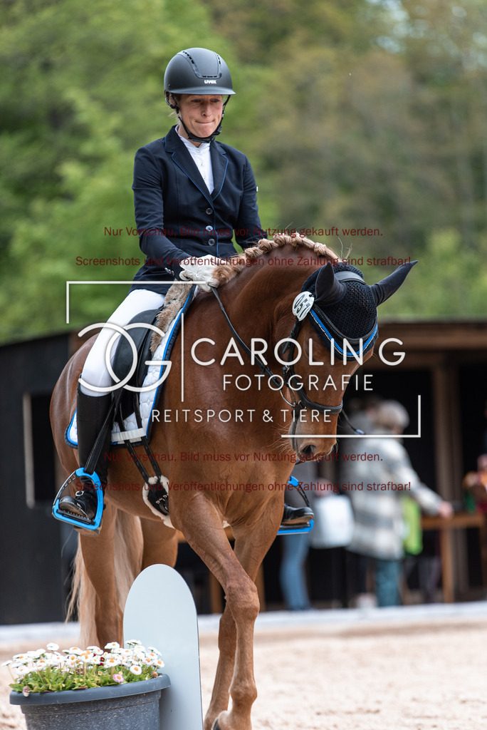 DSC_7093 | Turnierfotografin Carolin Gieschke,Reitsport Turnierfotografie Carolin G Fotografie | Turnierfotos aus Kirchheim/Teck, Esslingen, Stuttgart und dem Bodenseekreis