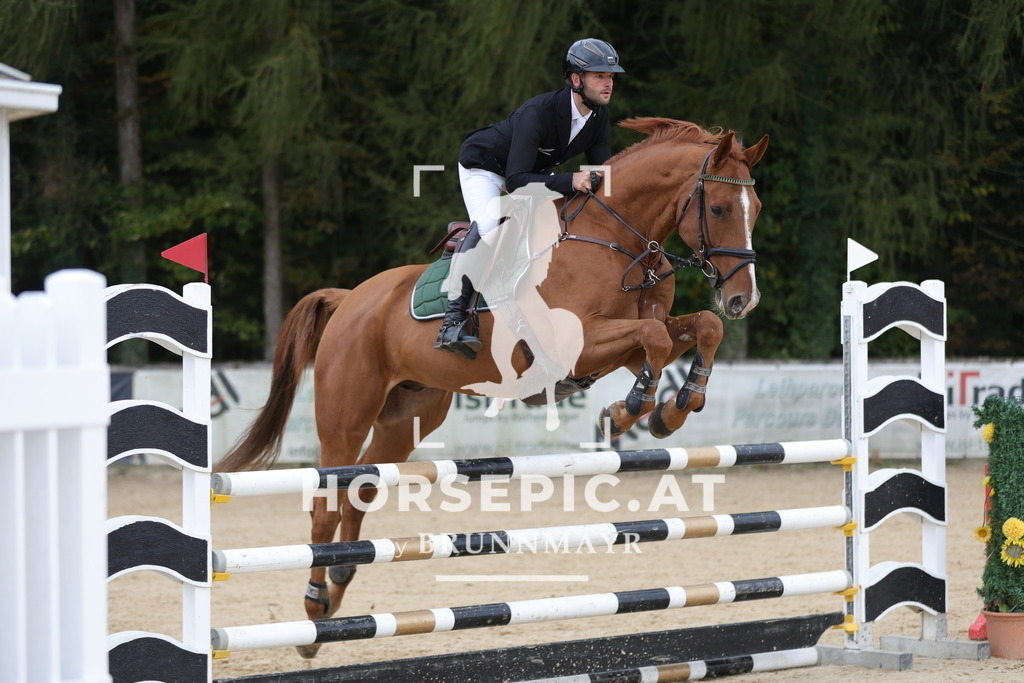 0P6A3146 | Willkommen bei Brunnmayr - Design & Fotografie – Ihrem Spezialisten für Reitturniere und Pferdeveranstaltungen in Oberösterreich, Salzburg und Bayern! Seit über 17 Jahren sind wir leidenschaftlich dabei.