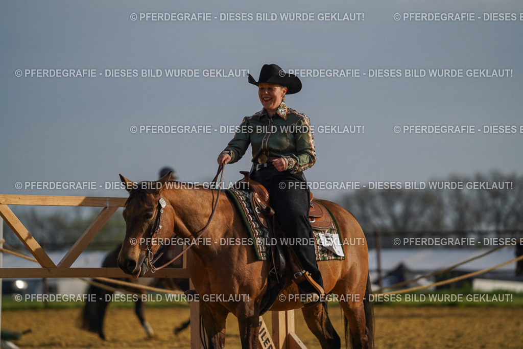 DSC00554 | Pferdegrafie