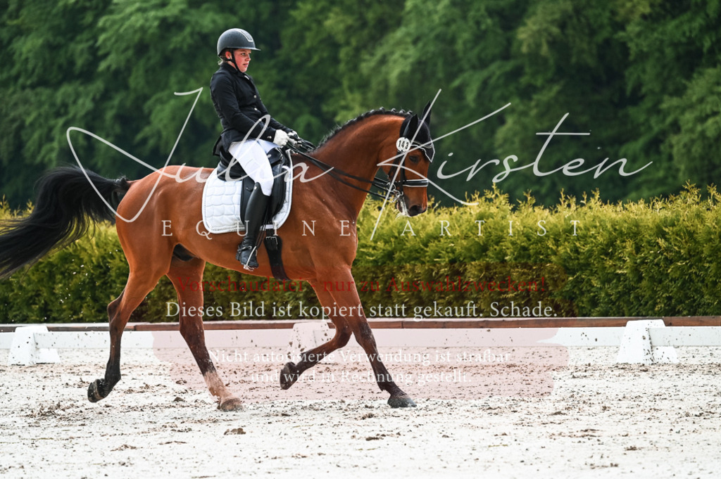 DSC_4384 | Pferde- und Turnierfotografie in Westsachsen. Pferdeportraits, Auftragszeichnungen und intuitive Kunst.