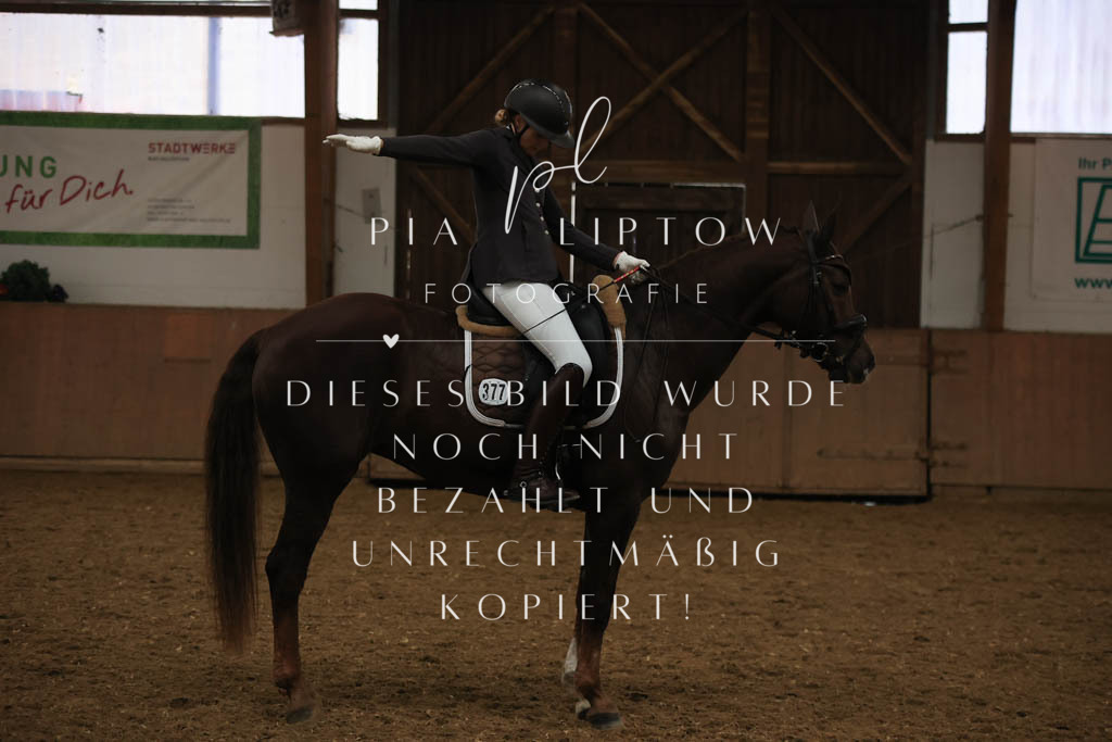 IMGT9387 | pl-fotografie