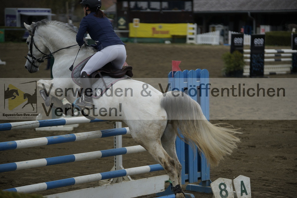 _DSC7226 | equestrian-live-com