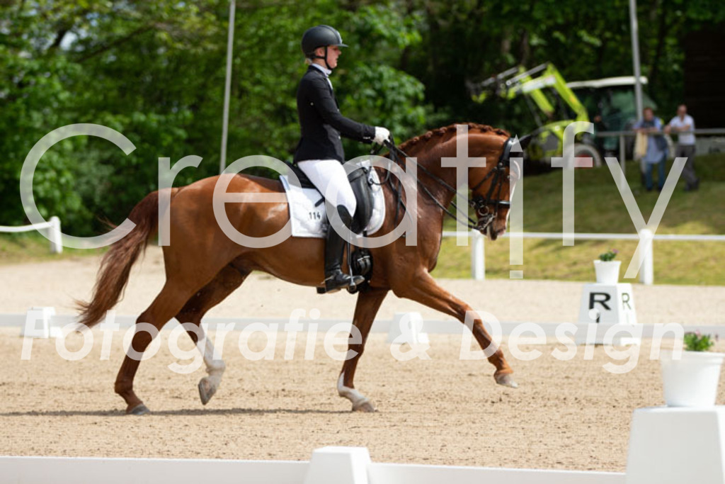 IMG_6428 | Creatify Fotografie