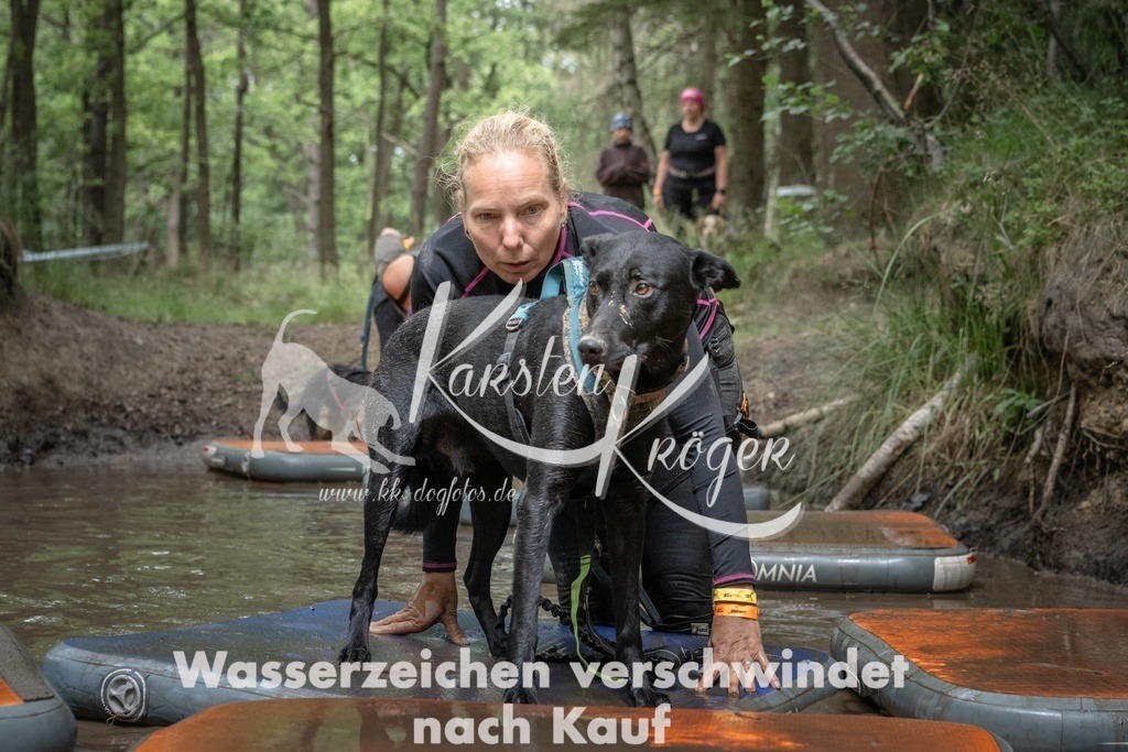 1250_ZZ91161T | kk-dogfotos