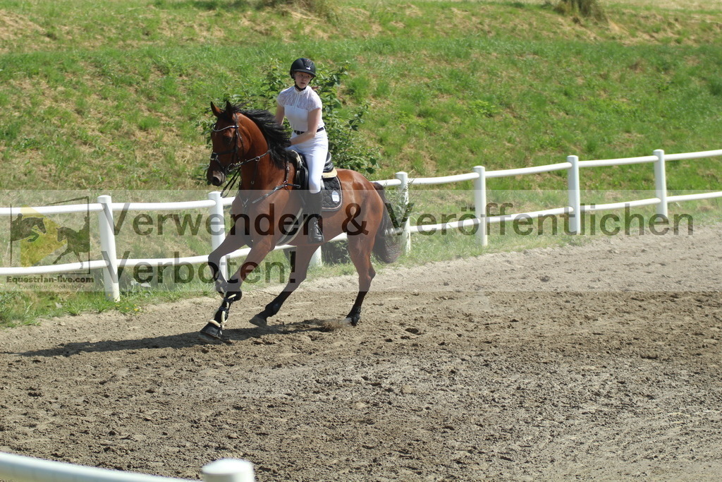 IMG_3248 | equestrian-live-com