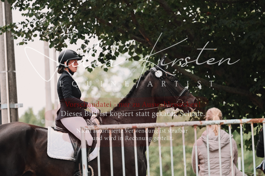 DSC_3669 | Pferde- und Turnierfotografie in Westsachsen. Pferdeportraits, Auftragszeichnungen und intuitive Kunst.