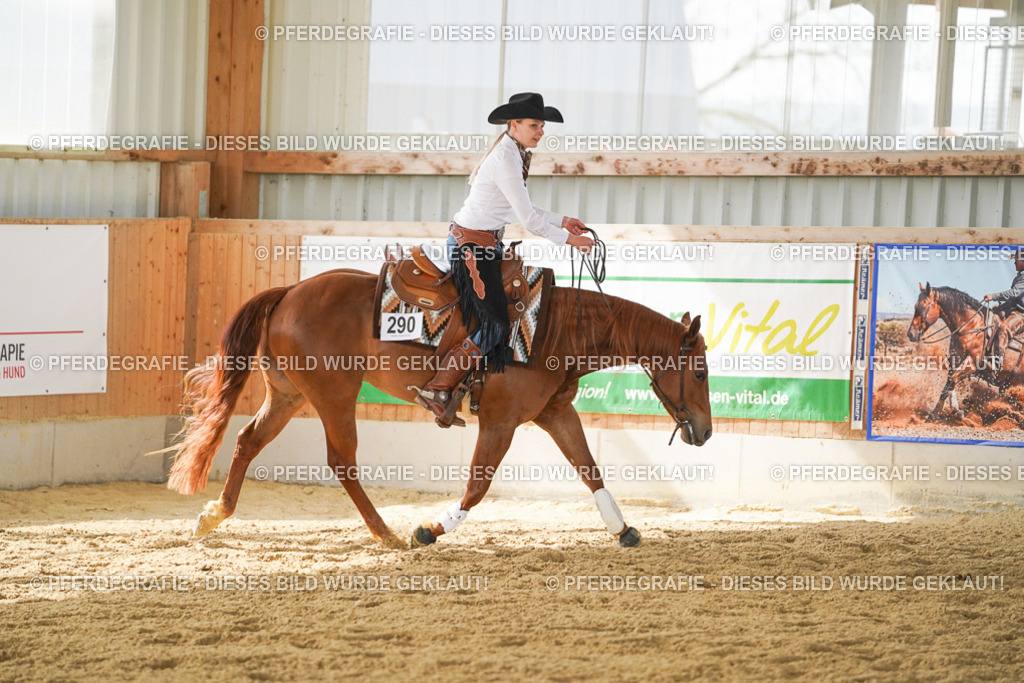 DSC05992 | Pferdegrafie