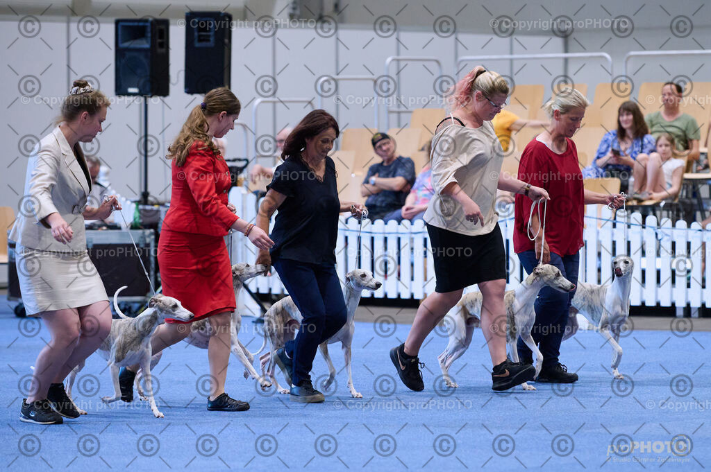 202406_ÖKV-IHA-Tulln24_DSC_3772 | proPHOTO - Realisiert mit Pictrs.com