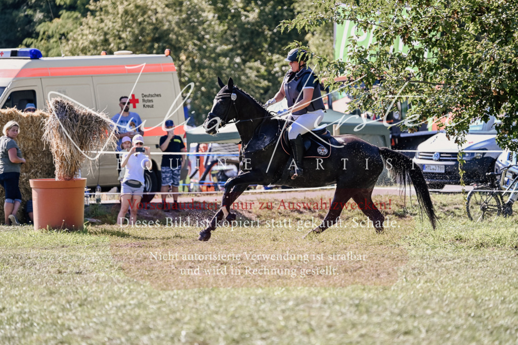 DSC_3345 | Pferde- und Turnierfotografie in Westsachsen. Pferdeportraits, Auftragszeichnungen und intuitive Kunst.