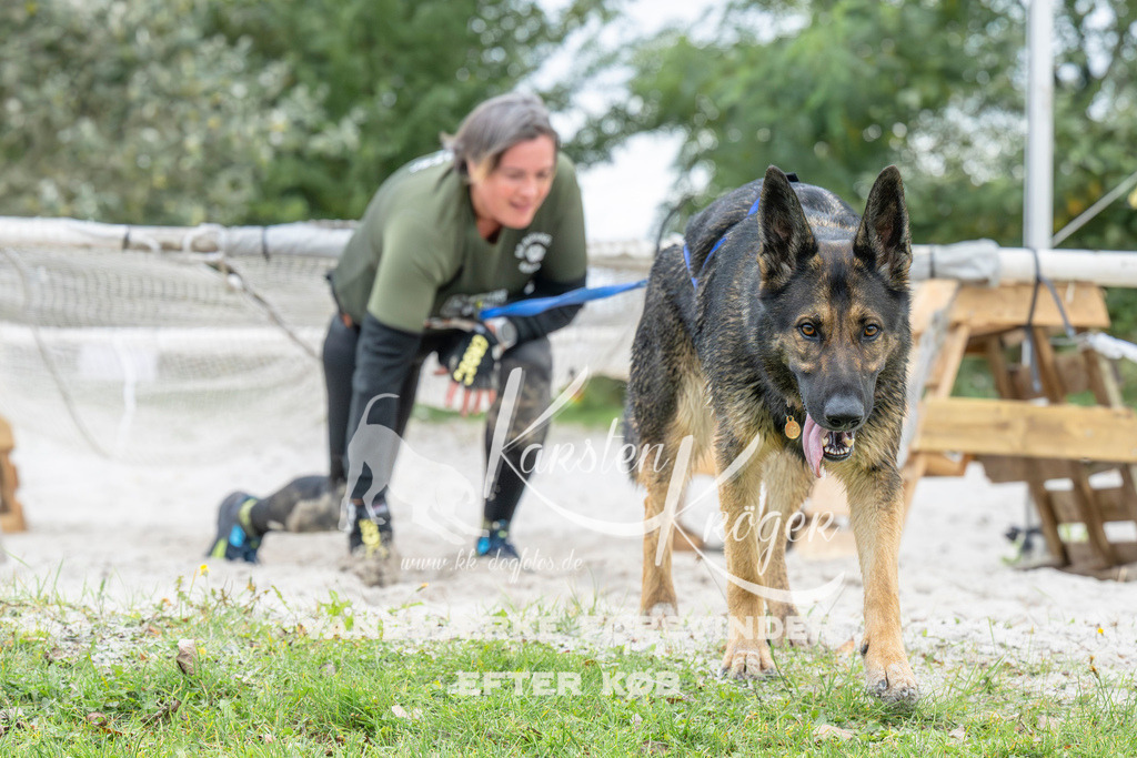 1039_ZZ94859 | kk-dogfotos