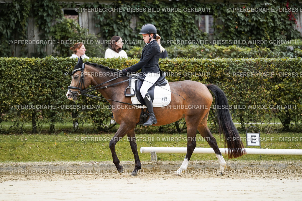 DSC04661 | Pferdegrafie