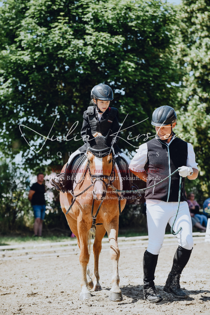 DSC_2538 | Pferde- und Turnierfotografie in Westsachsen. Pferdeportraits, Auftragszeichnungen und intuitive Kunst.