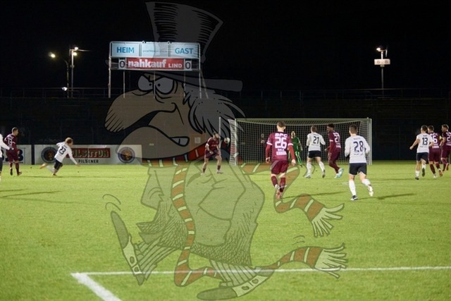 BFC Dynamo vs. ZFC Meuselwitz   015 | mythos-online-redaktion
